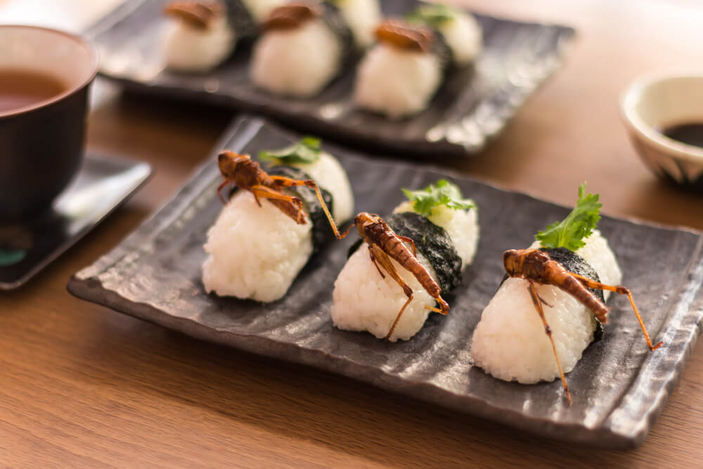 Sushi con insectos