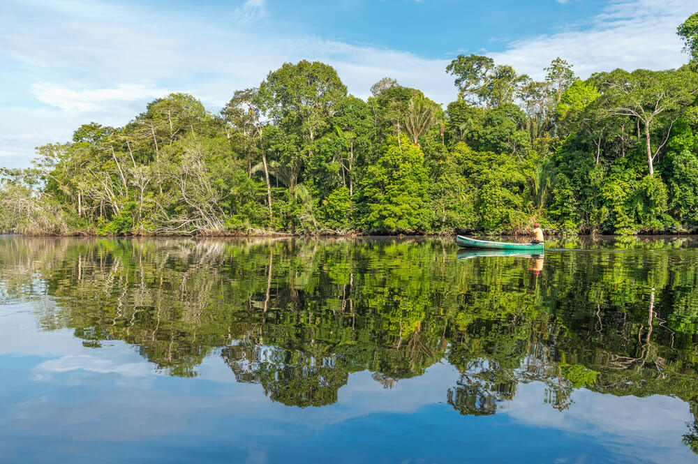 Amazonia boliviana en un viaje por Sudamérica