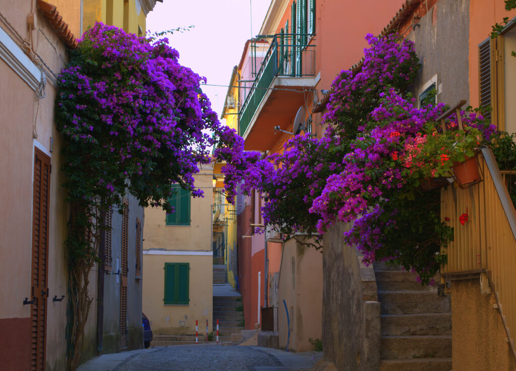 Calle de la Maddalena