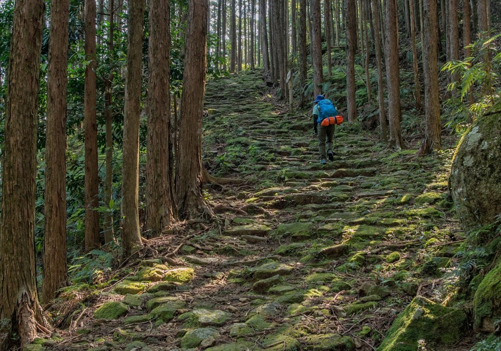 El camino de Kumano Kodo, una ruta famosa en Japón.