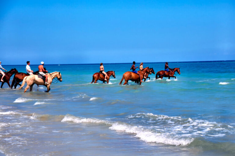 Nadar con caballos, una de las mejores experiencias en Jamaica