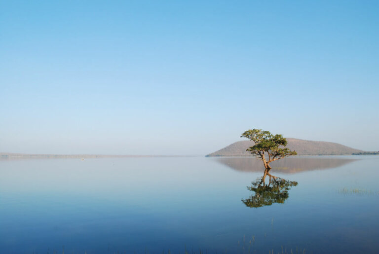 Lago Pakhal en la India: un lugar paradisíaco