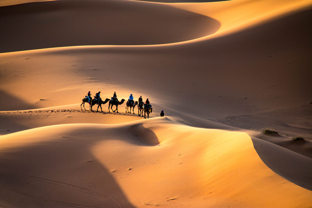 Excursión en camellos