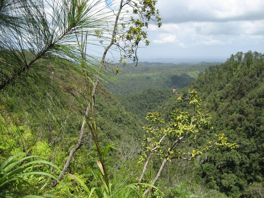 Mountain Pine Ridge en Belice