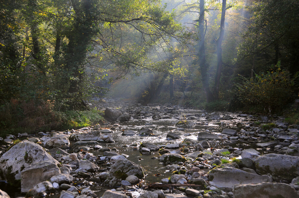 Río Andaka en Dryanovo