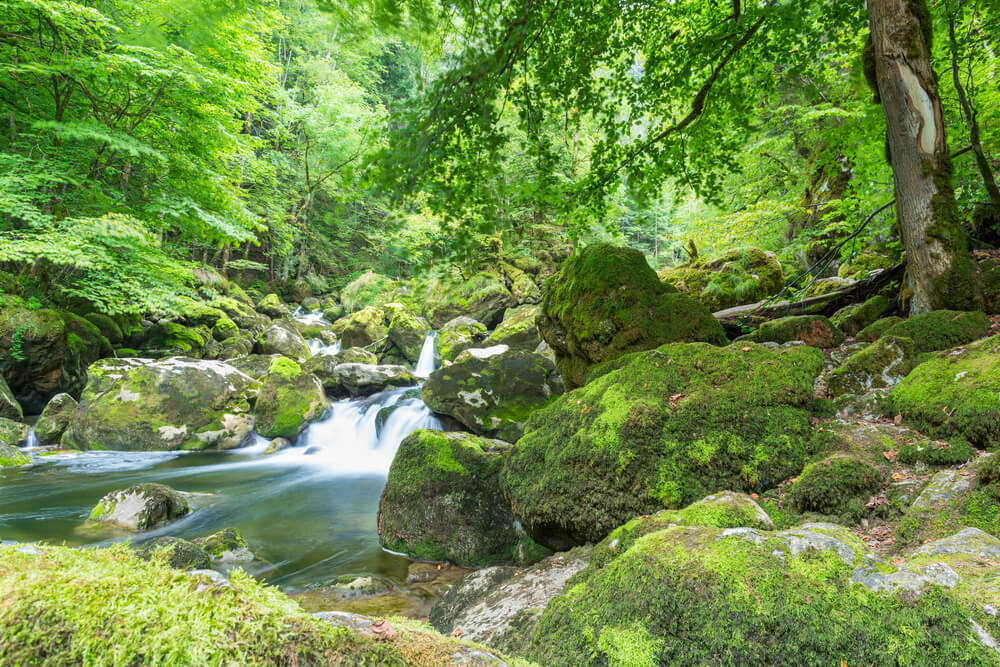 Vista de la garganta de Areuse