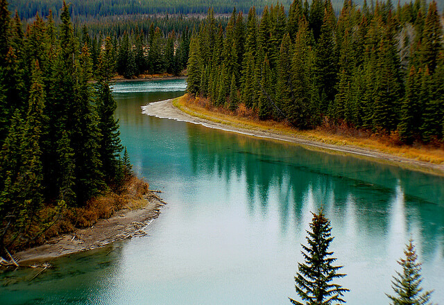 Río Bow en el Parque Nacional Banff