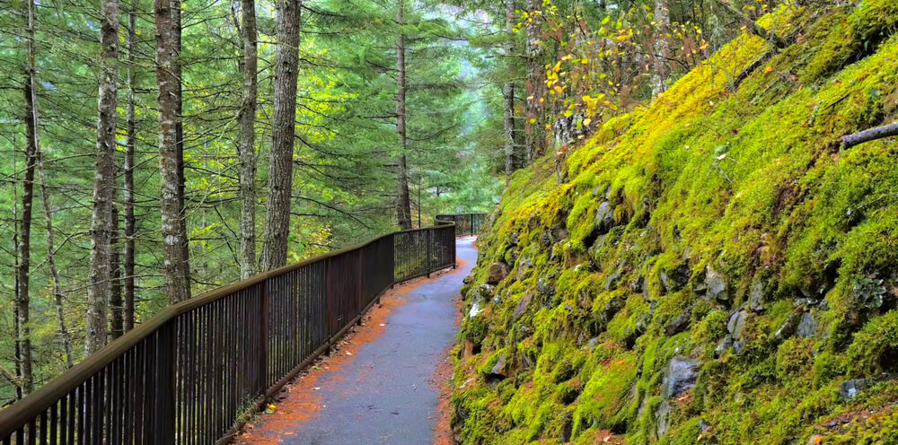 Sendero en el lago Diablo