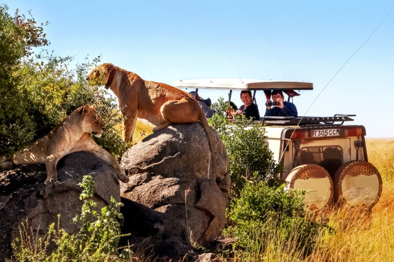 Safari en el norte de Tanzania: reservas que no deben perderse