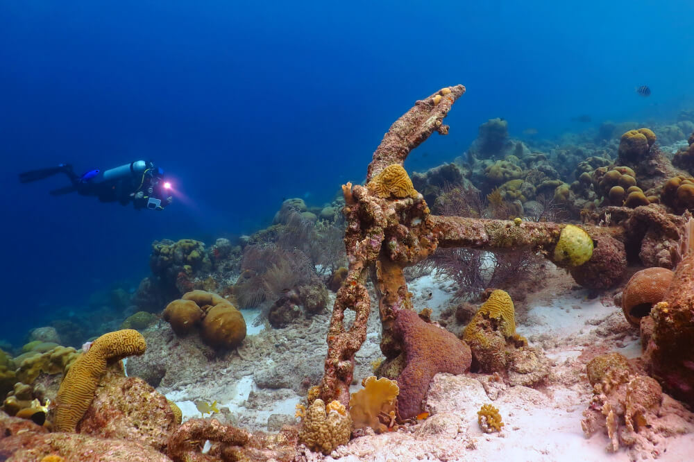 Bueceador en la barrera de coral de México