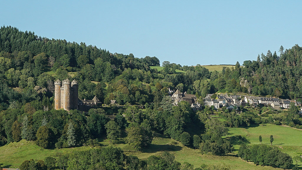 Vista del castillo de Anjony