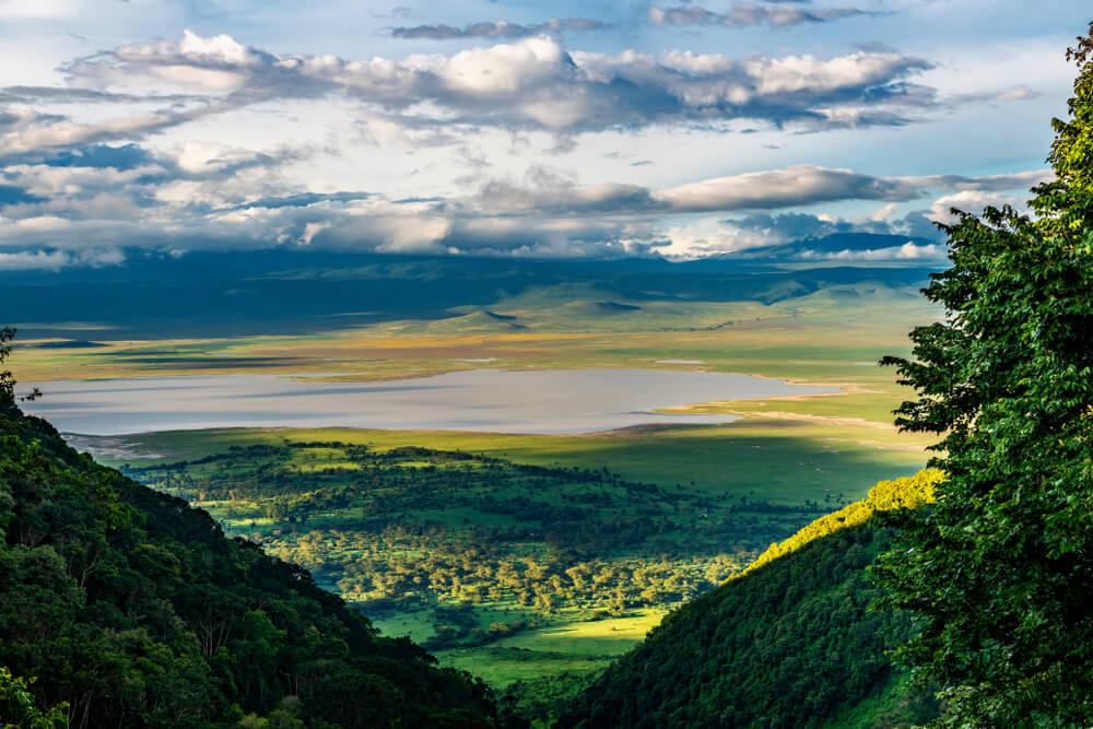Cráter del Ngorongoro para realizar un safari en el norte de Tanzania