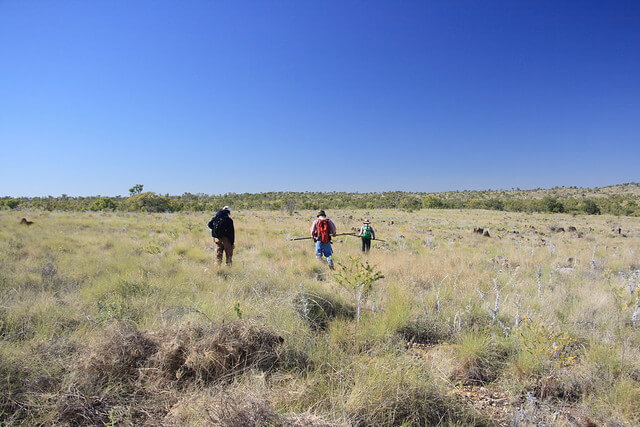Investigadores en Riversleigh