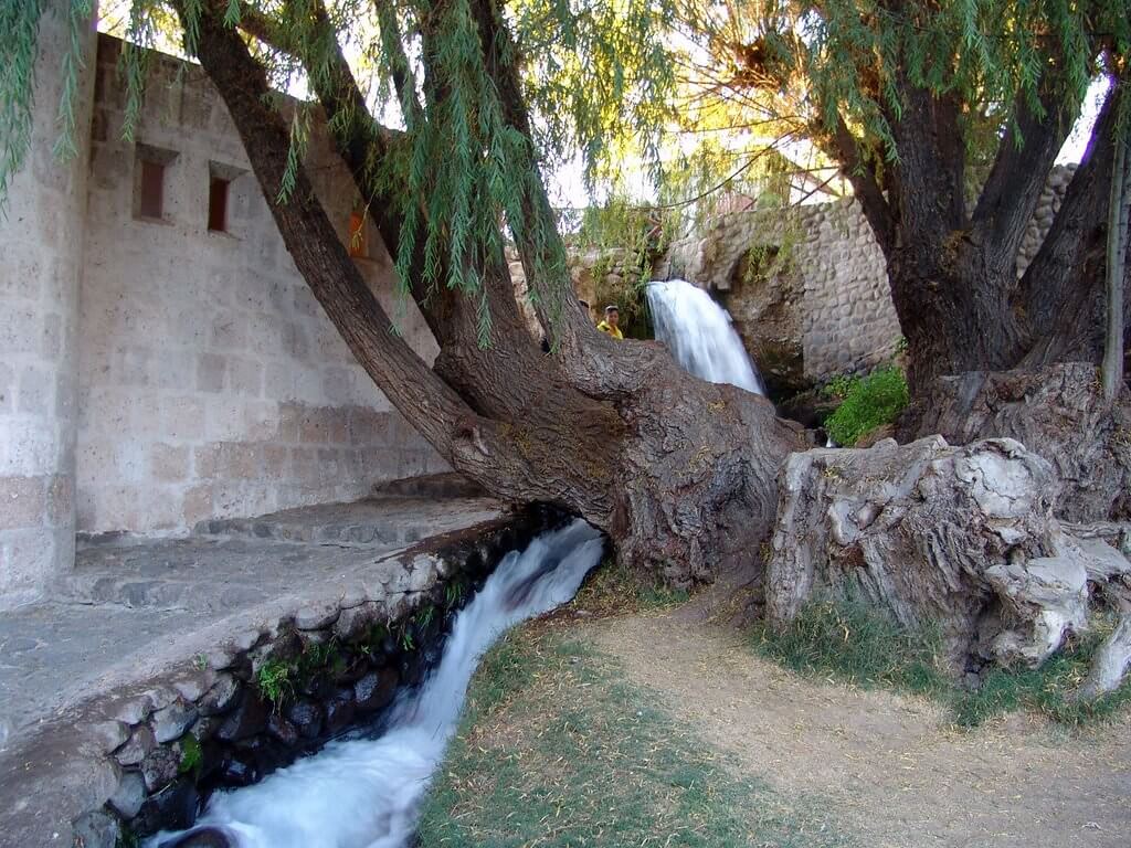 Cascada en los jardines del molino