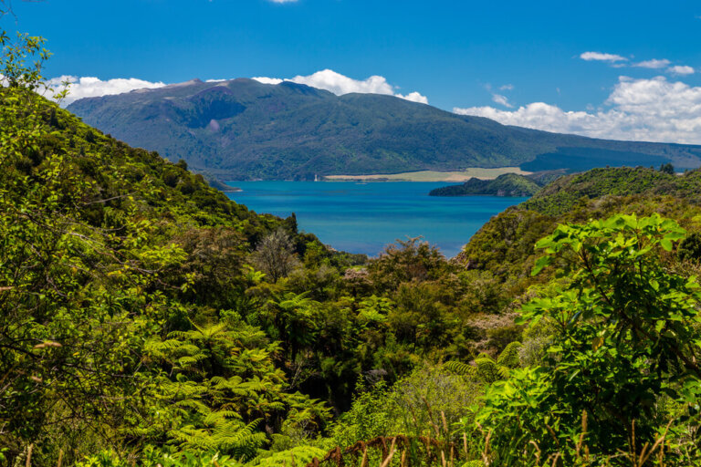 Las terrazas de silicato del lago Rotomahana en Nueva Zelanda