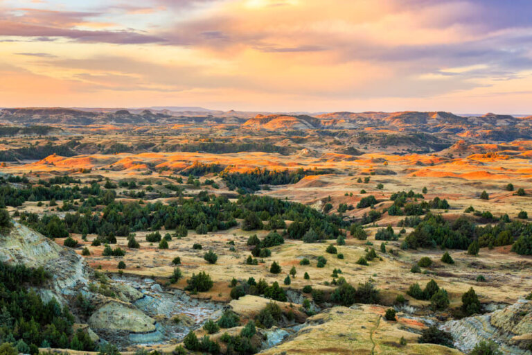 La rica vida silvestre del Parque Nacional Theodore Roosevelt