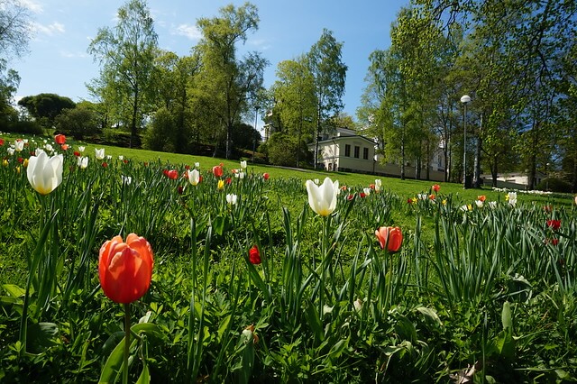 Parque del Observatorio de Helsinki