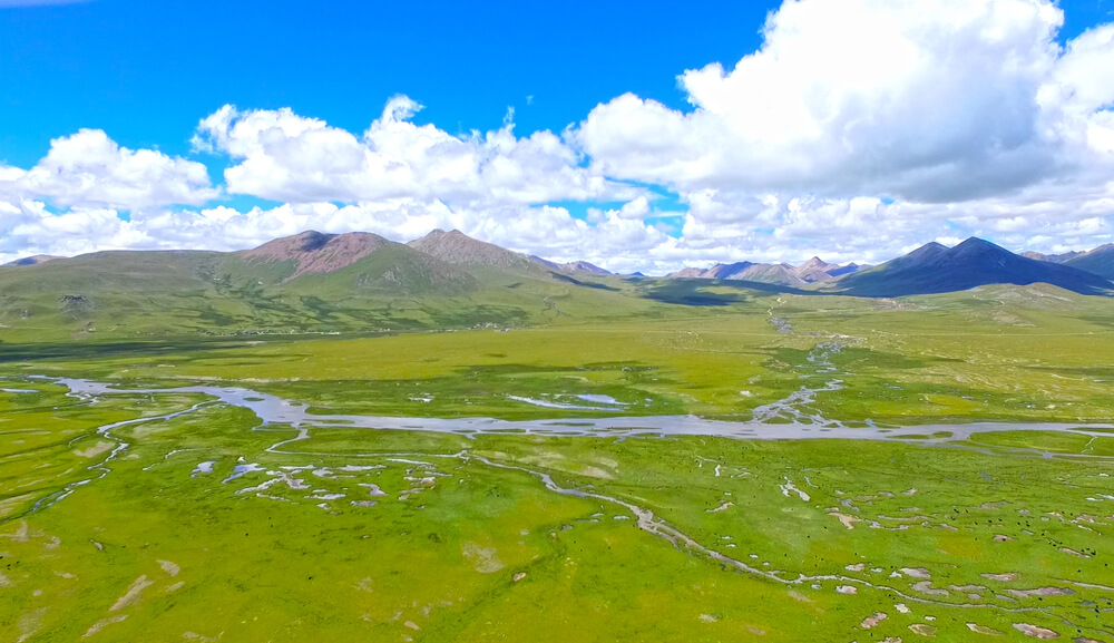 Pradera en la meseta tibetana