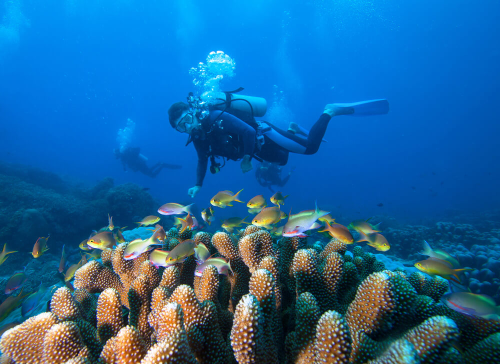 Submarinista en Raja Ampat