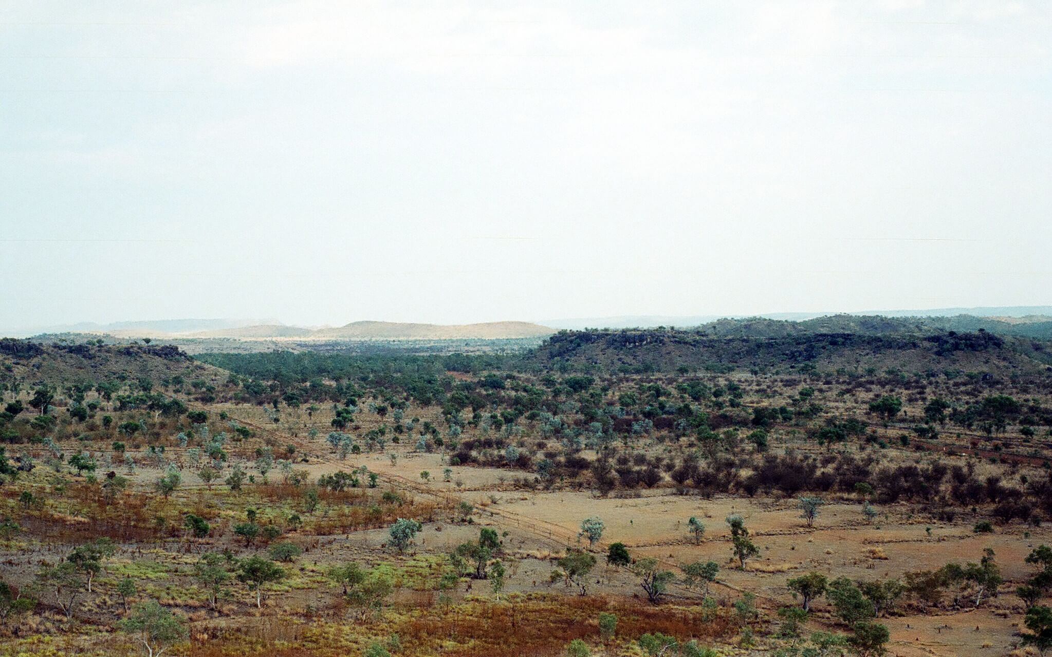 Riversleigh y los mamíferos fósiles australianos