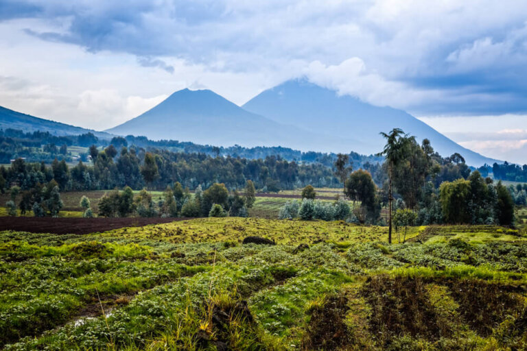 6 razones para hacer de Ruanda tu próximo destino