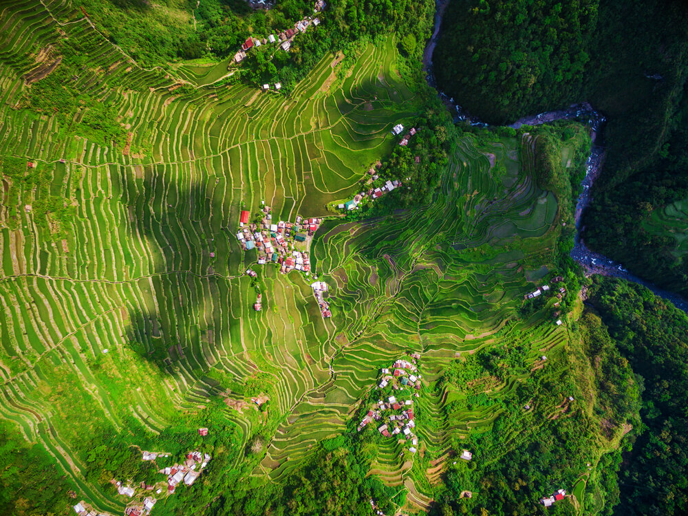 Vista aérea de las terrazas de arroz