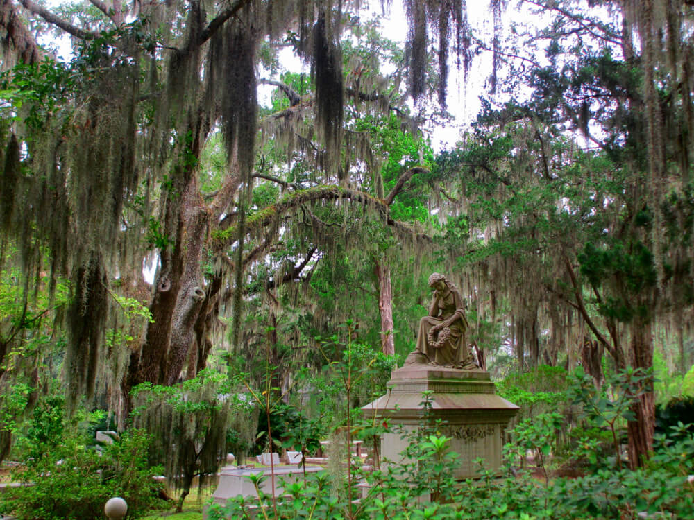 Cementerio de Bonaventura