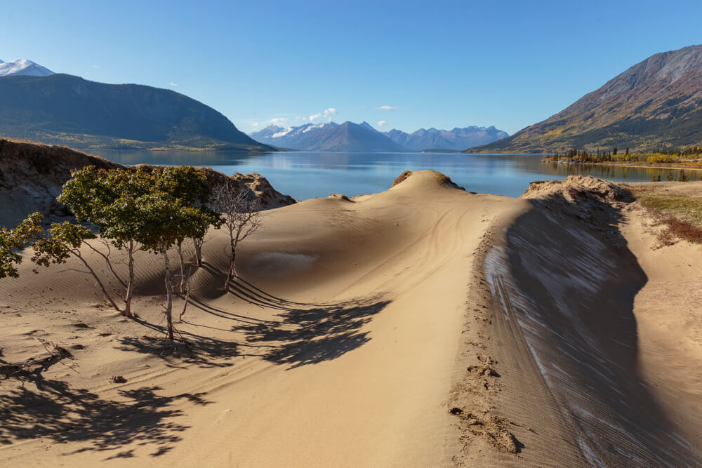 Desierto de Carcross en Canadá