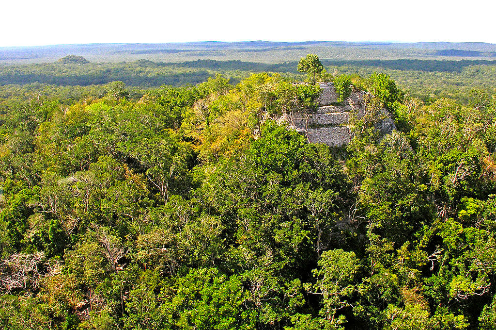 Vista de las ruinas de El Mirador