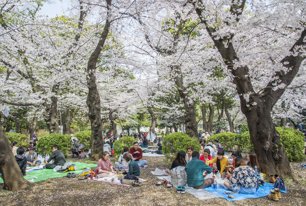 Celebración del Hanami en Tokio