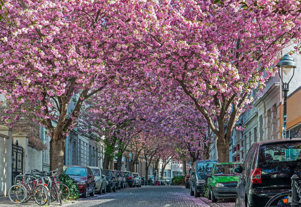 Vista de Heerstrasse en Bonn
