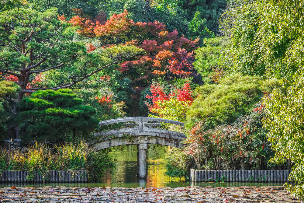 Jardines del templo de Ryoan-ji