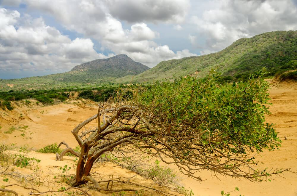 Parque Nacional Macuira en La Guajira