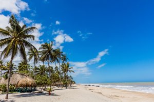 Playa en Palomino