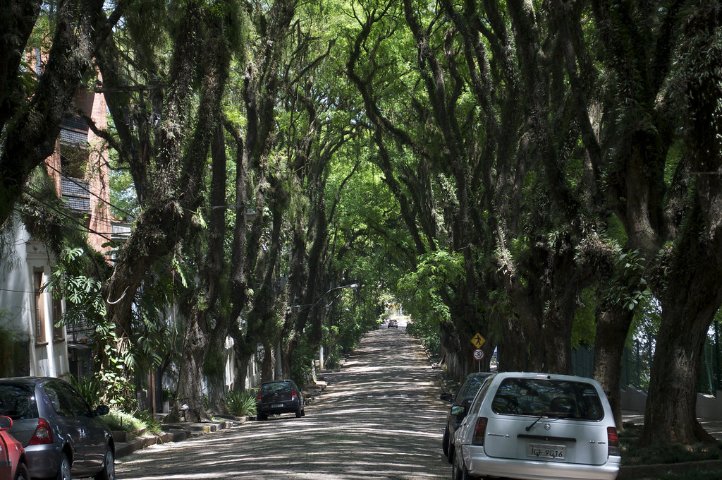 Vista de la calle Rua Gonçalo de Carvalho