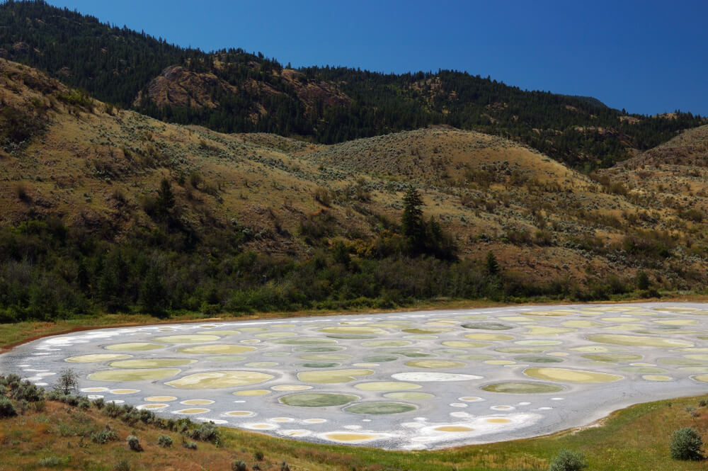 Vista de Spotted Lake en Canadá