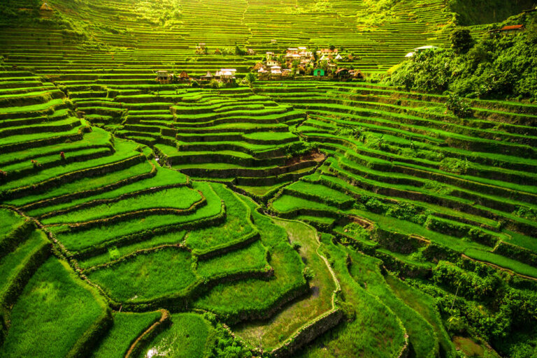 Las terrazas de arroz en la isla de Luzón, Filipinas