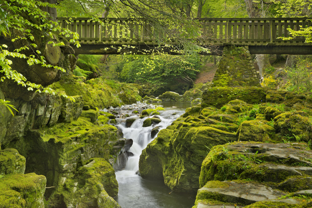 Parque Forestal Tollymore, lugar de rodaje de Juego de Tronos