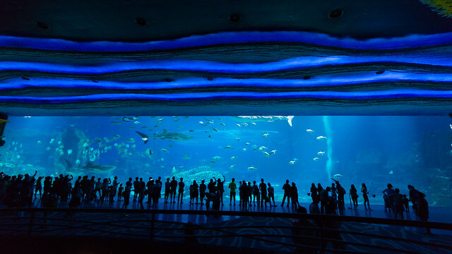 Acuario de Chimelong