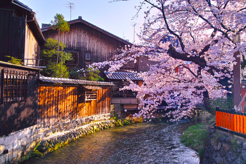 Canal Shirakawa en Kioto