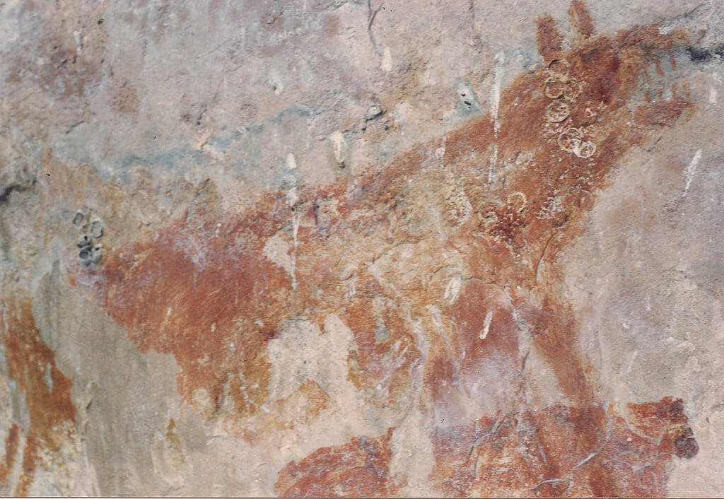 Petroglifo en Chiribiquete