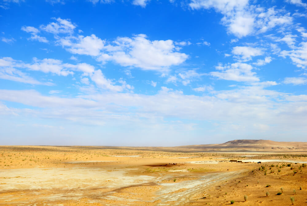 Desierto de Kyzyl Kum