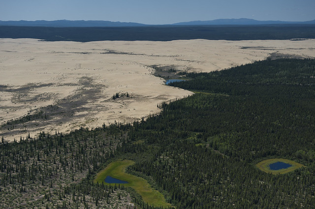 Dunas en Kobuk Valley