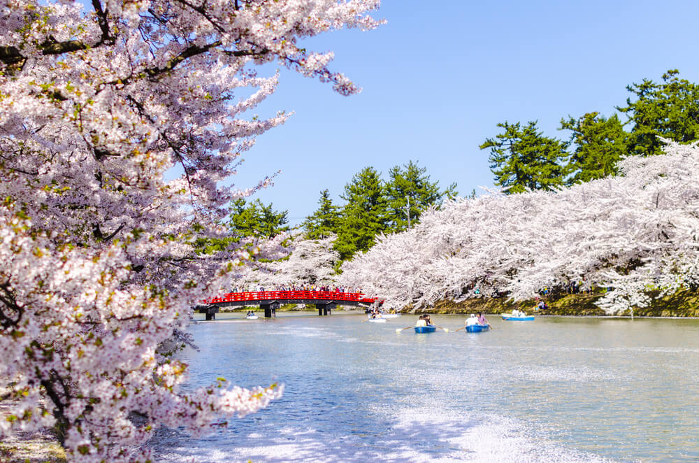 Cerezos en Hirosaki