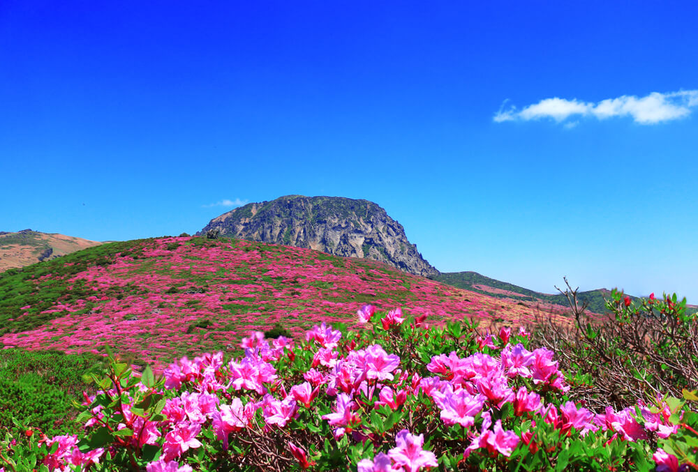 Monte Hallasán, uno de los parques naturales de Asia