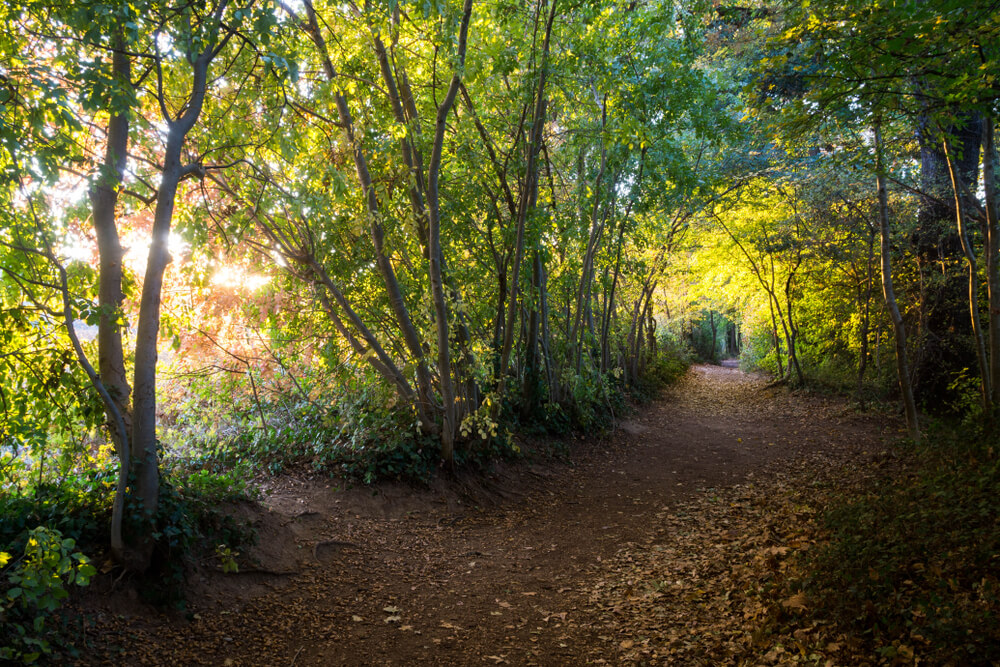 Río Lez en Montpellier