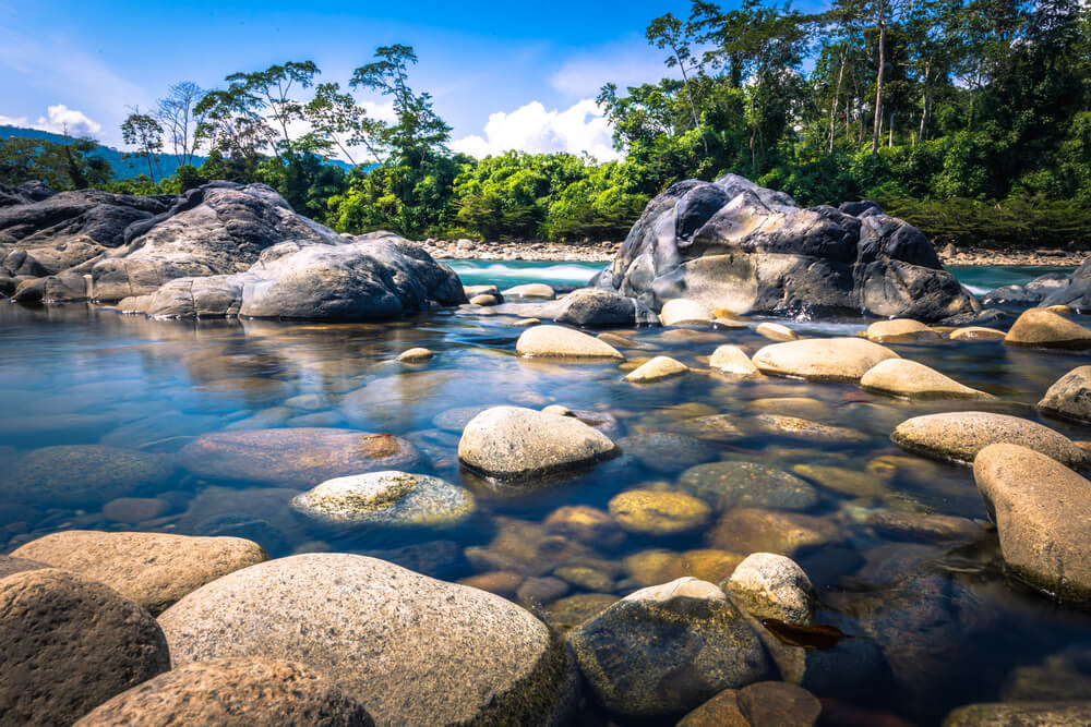 Río en la reserva del Manu
