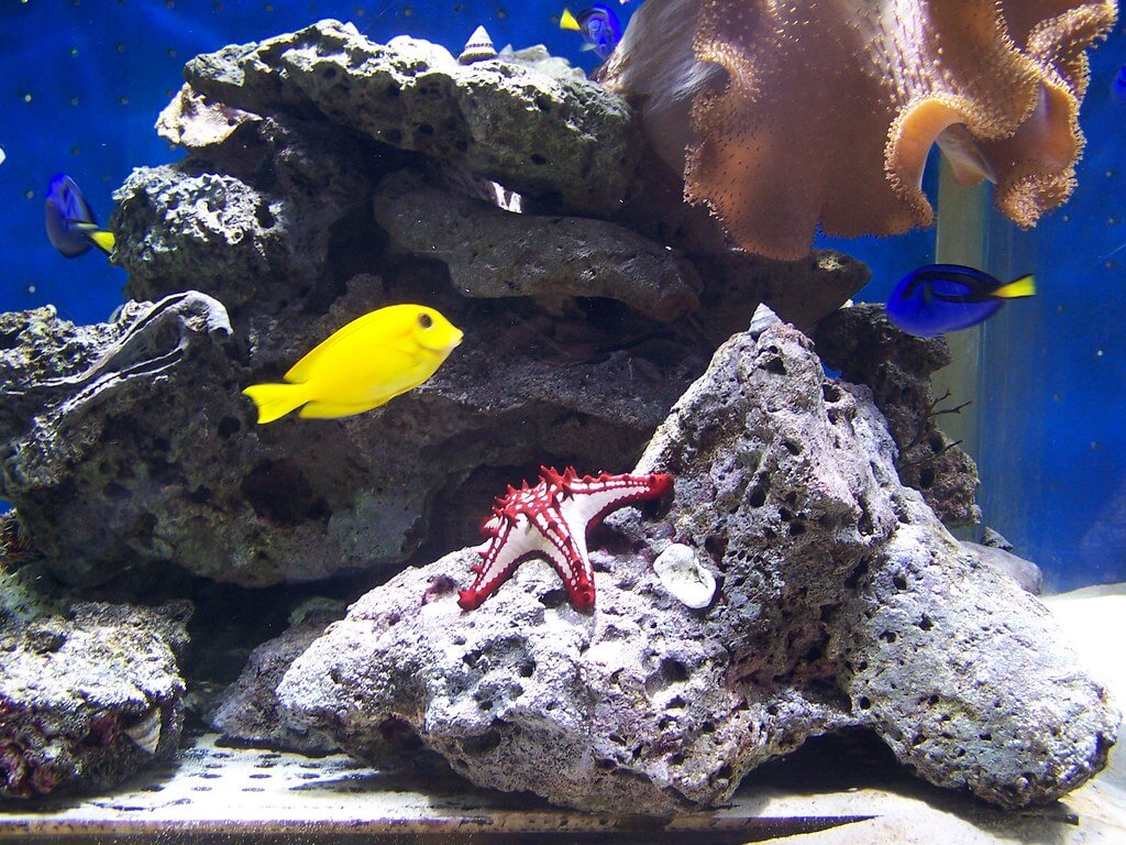 Acuario de Medellín