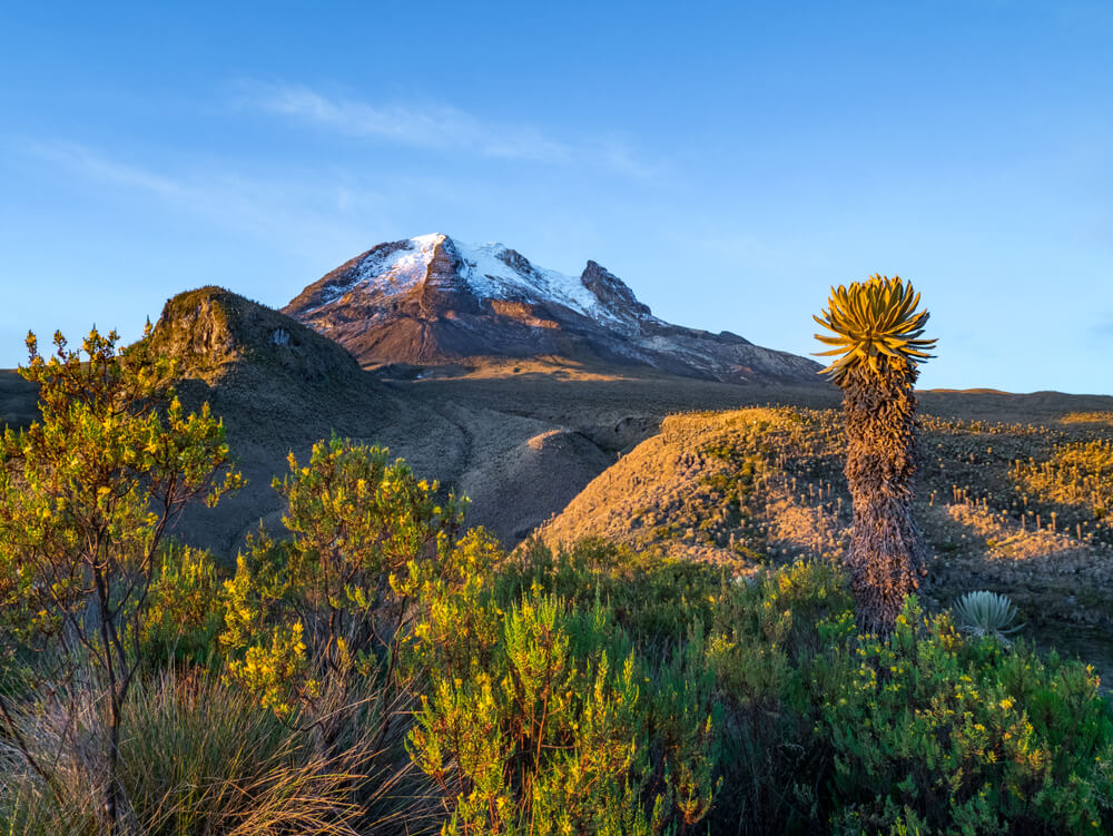 Descubre el Parque Natural Los Nevados en Colombia