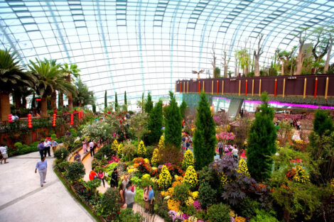 Interior de Flowers Dome
